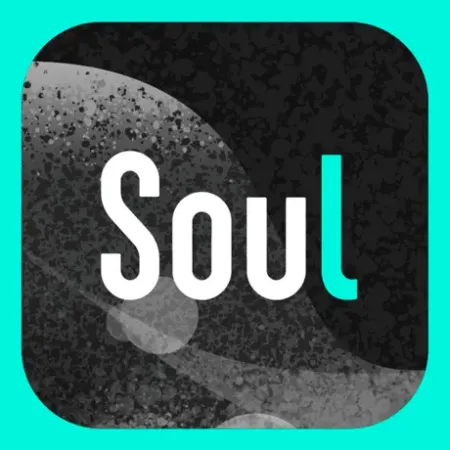 Soul官网