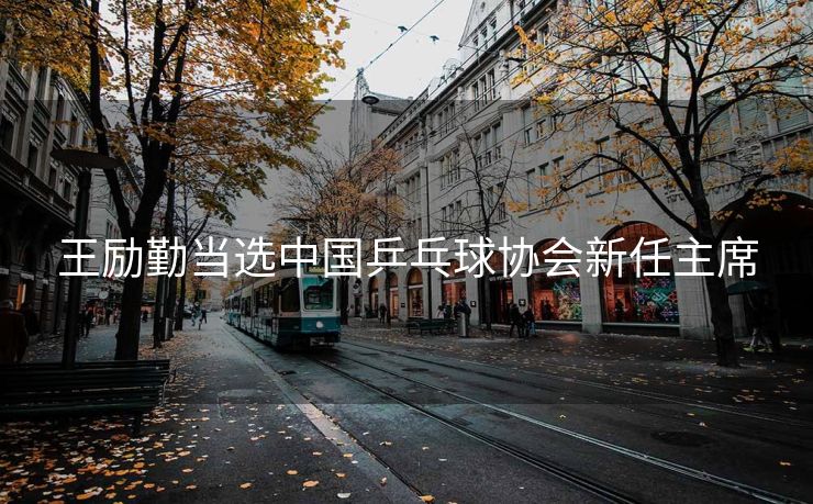 王励勤当选中国乒乓球协会新任主席