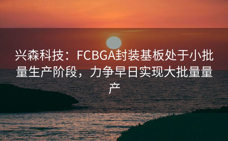 兴森科技：FCBGA封装基板处于小批量生产阶段，力争早日实现大批量量产