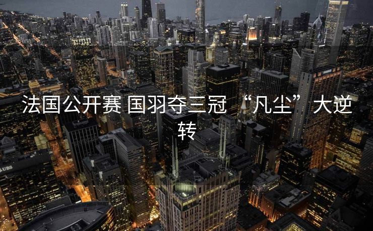 法国公开赛 国羽夺三冠 “凡尘”大逆转