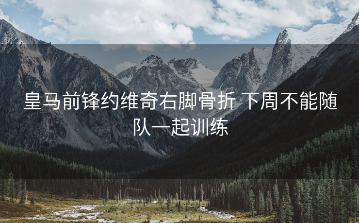 皇马前锋约维奇右脚骨折 下周不能随队一起训练