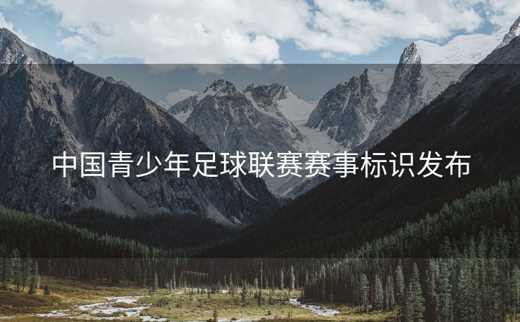 中国青少年足球联赛赛事标识发布