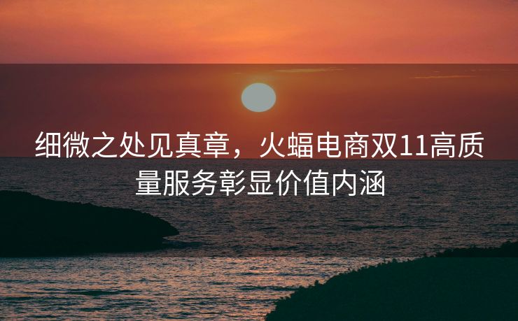 细微之处见真章，火蝠电商双11高质量服务彰显价值内涵