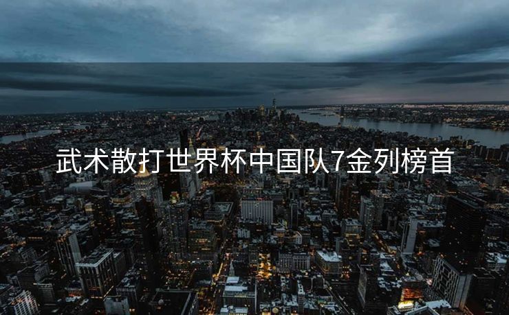 武术散打世界杯中国队7金列榜首