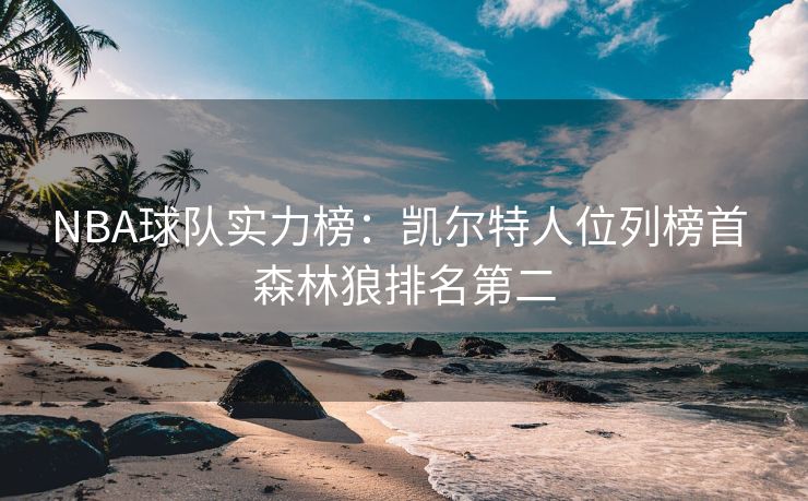 NBA球队实力榜：凯尔特人位列榜首 森林狼排名第二
