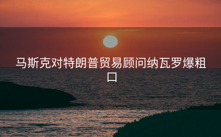 马斯克对特朗普贸易顾问纳瓦罗爆粗口