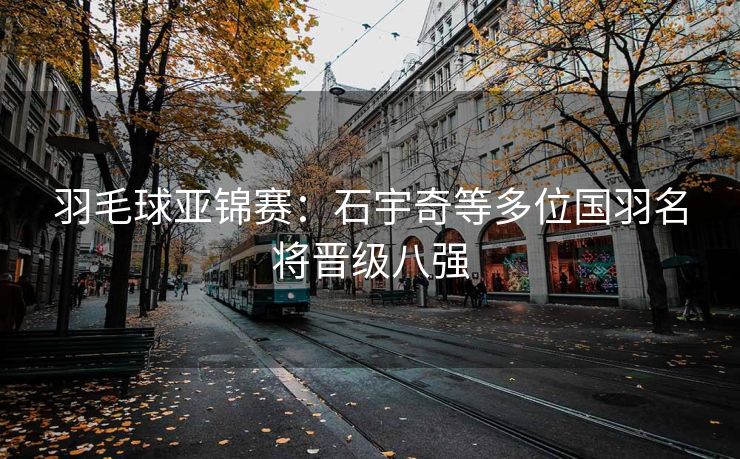 羽毛球亚锦赛：石宇奇等多位国羽名将晋级八强