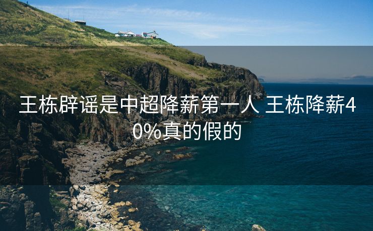 王栋辟谣是中超降薪第一人 王栋降薪40%真的假的