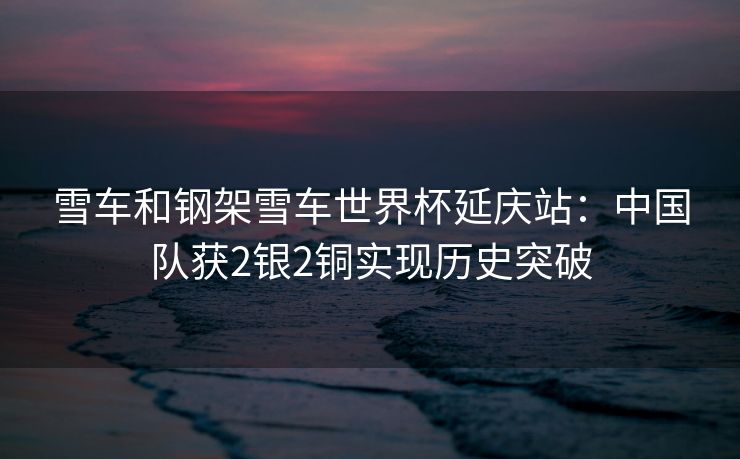 雪车和钢架雪车世界杯延庆站：中国队获2银2铜实现历史突破