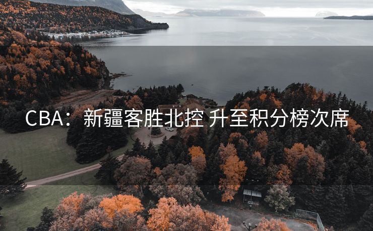 CBA：新疆客胜北控 升至积分榜次席