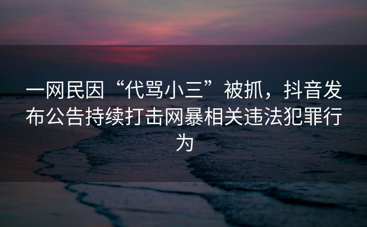 一网民因“代骂小三”被抓，抖音发布公告持续打击网暴相关违法犯罪行为