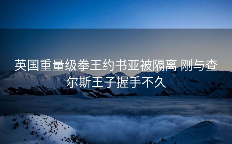 英国重量级拳王约书亚被隔离 刚与查尔斯王子握手不久