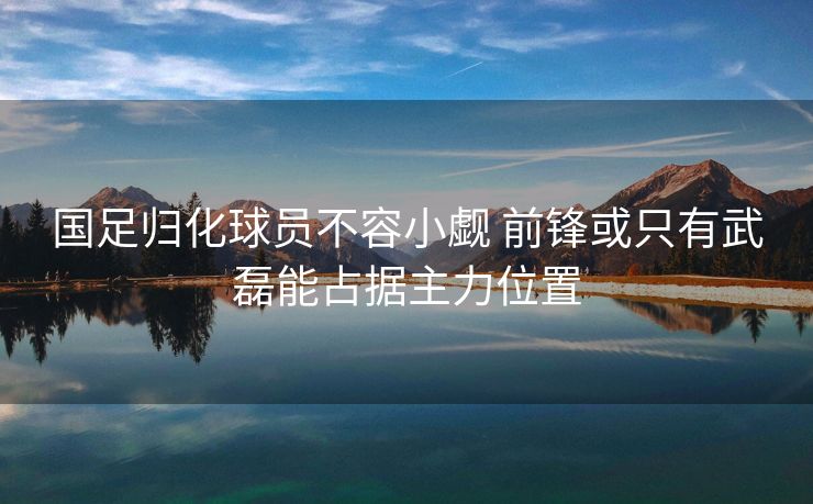 国足归化球员不容小觑 前锋或只有武磊能占据主力位置