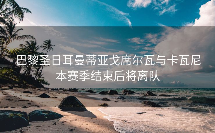 巴黎圣日耳曼蒂亚戈席尔瓦与卡瓦尼本赛季结束后将离队
