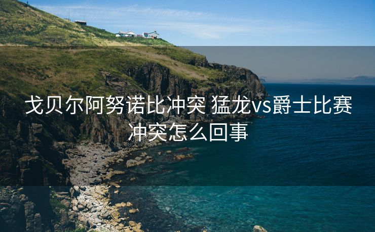 戈贝尔阿努诺比冲突 猛龙vs爵士比赛冲突怎么回事
