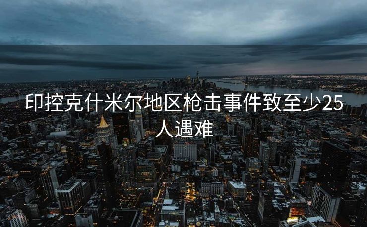 印控克什米尔地区枪击事件致至少25人遇难