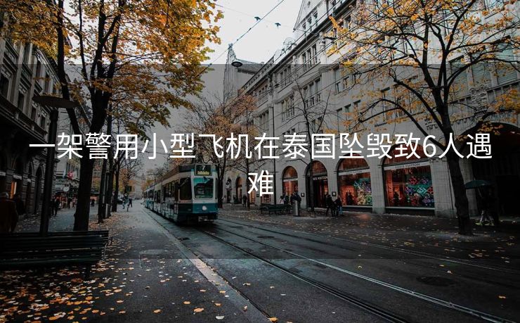 一架警用小型飞机在泰国坠毁致6人遇难