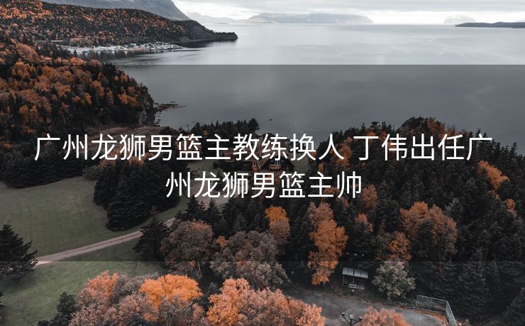 广州龙狮男篮主教练换人 丁伟出任广州龙狮男篮主帅