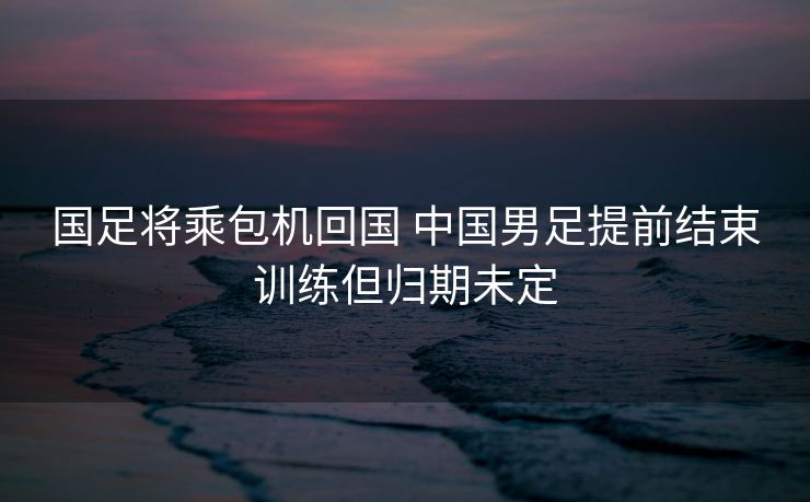 国足将乘包机回国 中国男足提前结束训练但归期未定