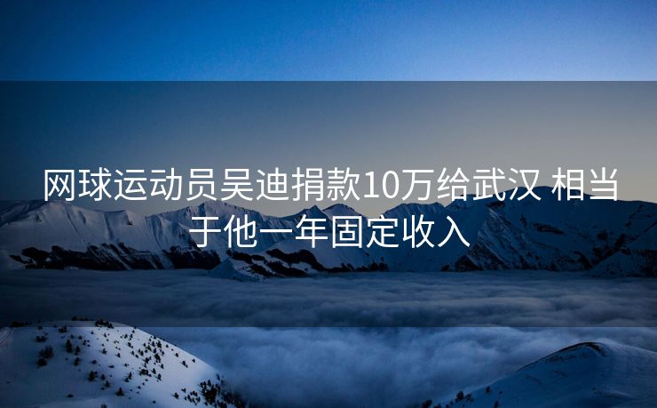 网球运动员吴迪捐款10万给武汉 相当于他一年固定收入