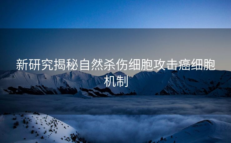 新研究揭秘自然杀伤细胞攻击癌细胞机制