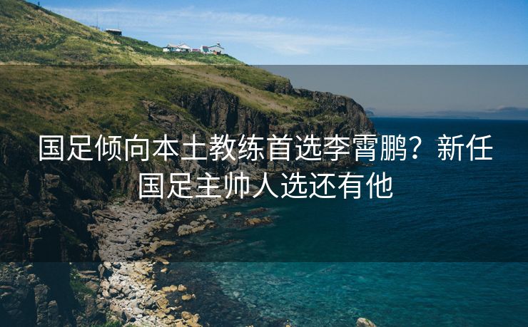 国足倾向本土教练首选李霄鹏？新任国足主帅人选还有他