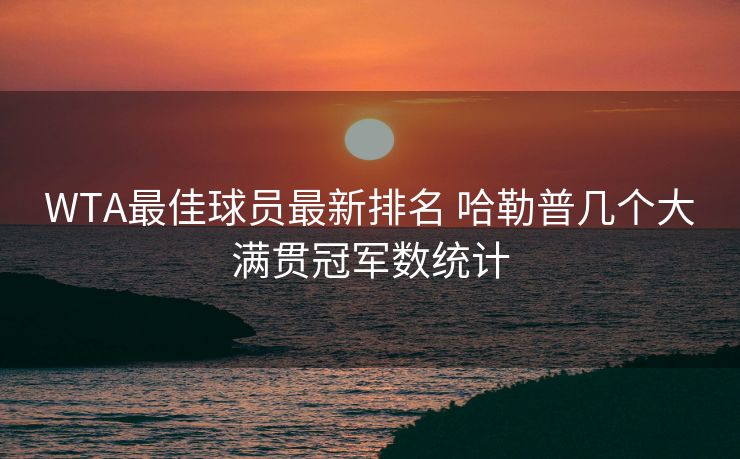 WTA最佳球员最新排名 哈勒普几个大满贯冠军数统计