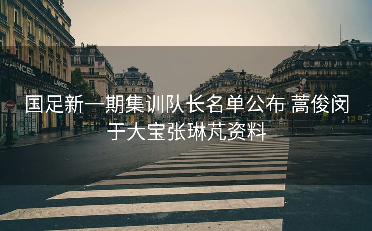 国足新一期集训队长名单公布 蒿俊闵于大宝张琳芃资料