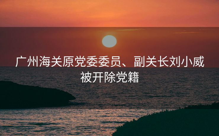 广州海关原党委委员、副关长刘小威被开除党籍