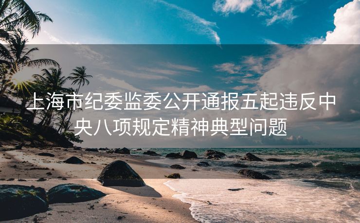 上海市纪委监委公开通报五起违反中央八项规定精神典型问题