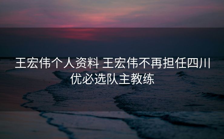 王宏伟个人资料 王宏伟不再担任四川优必选队主教练