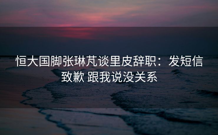 恒大国脚张琳芃谈里皮辞职：发短信致歉 跟我说没关系