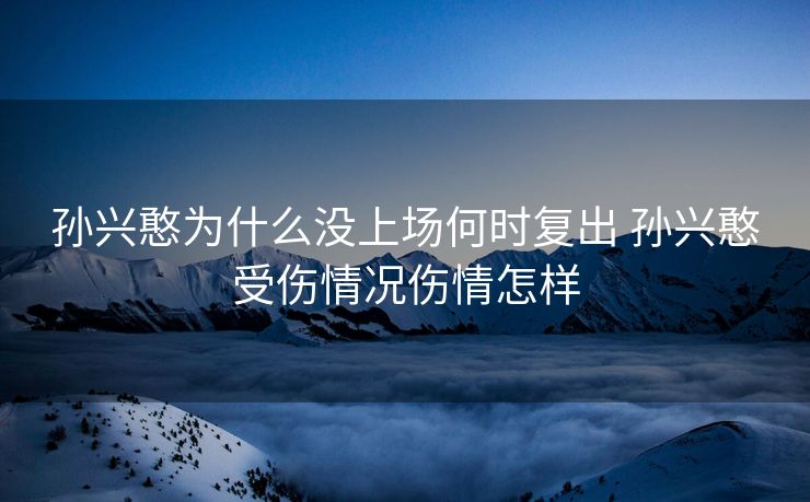 孙兴憨为什么没上场何时复出 孙兴憨受伤情况伤情怎样