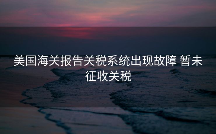 美国海关报告关税系统出现故障 暂未征收关税