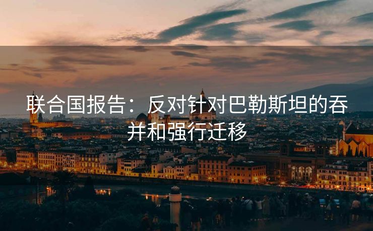 联合国报告：反对针对巴勒斯坦的吞并和强行迁移