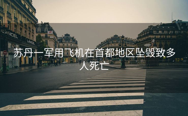 苏丹一军用飞机在首都地区坠毁致多人死亡