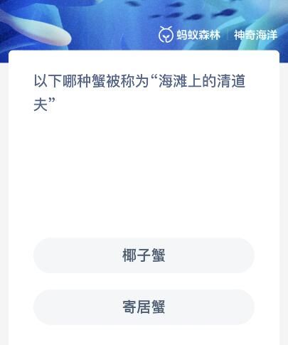 以下哪种蟹被称为“海滩上的清道夫”？神奇海洋12.6今日答案最新
