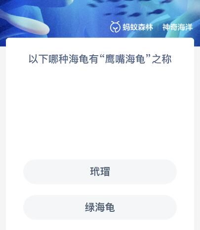以下哪种海龟有“鹰嘴海龟”之称？神奇海洋12.8今日答案最新
