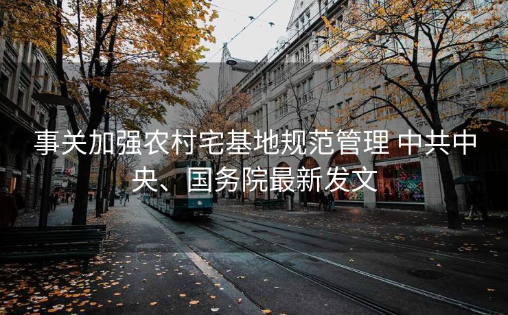 事关加强农村宅基地规范管理 中共中央、国务院最新发文