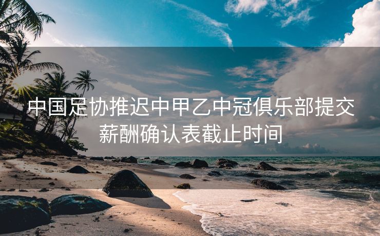 中国足协推迟中甲乙中冠俱乐部提交薪酬确认表截止时间