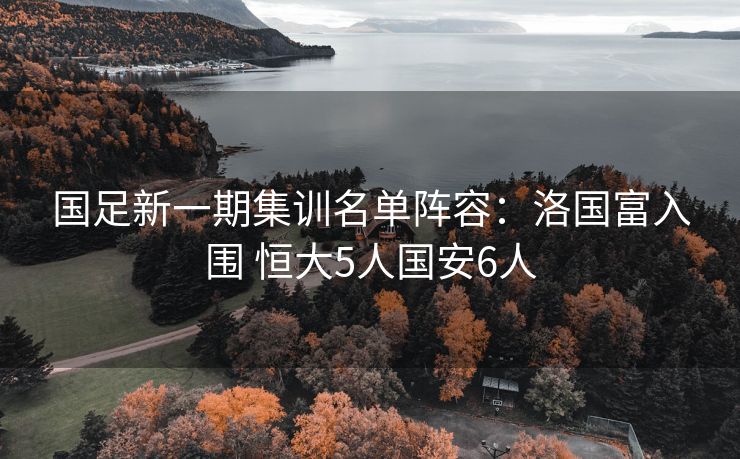 国足新一期集训名单阵容：洛国富入围 恒大5人国安6人