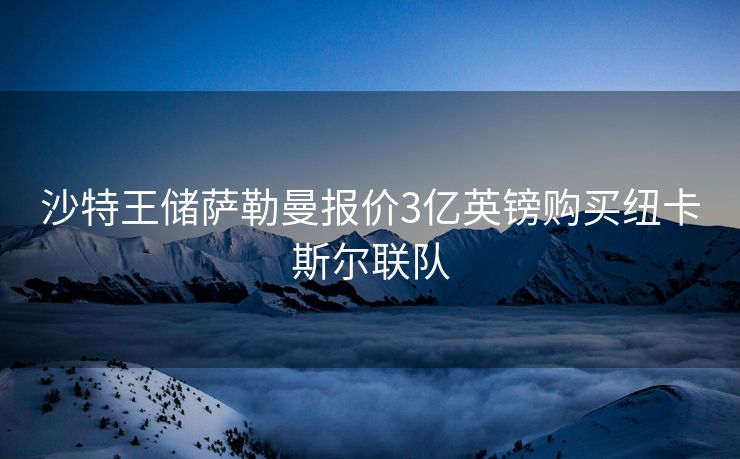 沙特王储萨勒曼报价3亿英镑购买纽卡斯尔联队