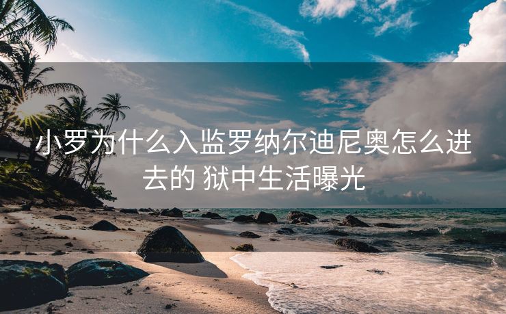 小罗为什么入监罗纳尔迪尼奥怎么进去的 狱中生活曝光