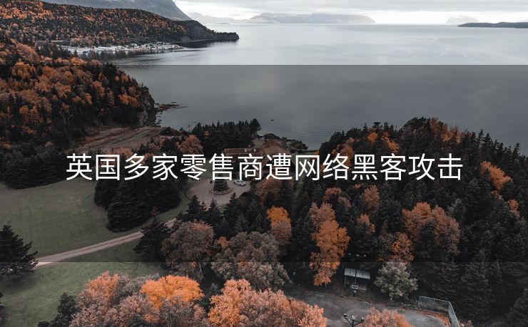 英国多家零售商遭网络黑客攻击