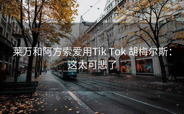 莱万和阿方索爱用Tik Tok 胡梅尔斯：这太可悲了
