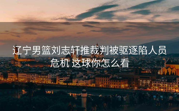 辽宁男篮刘志轩推裁判被驱逐陷人员危机 这球你怎么看