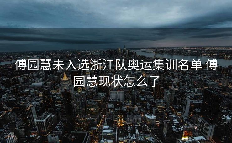 傅园慧未入选浙江队奥运集训名单 傅园慧现状怎么了