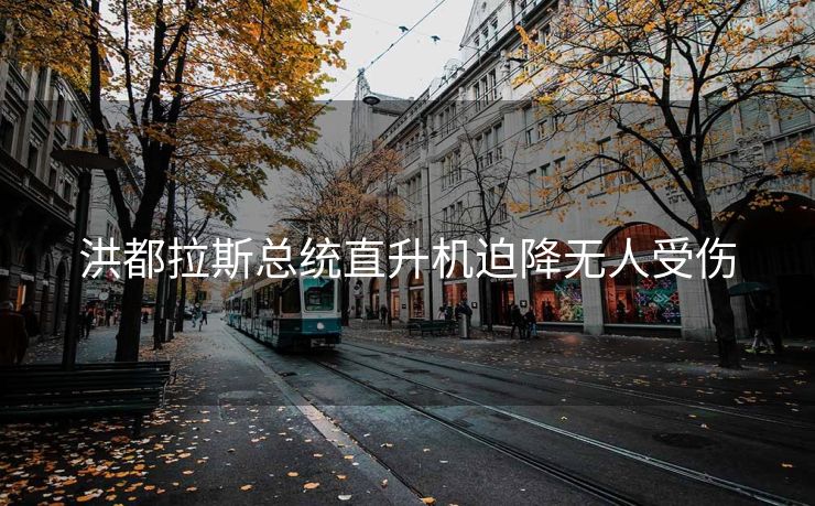 洪都拉斯总统直升机迫降无人受伤
