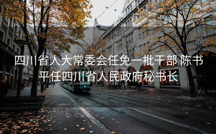 四川省人大常委会任免一批干部 陈书平任四川省人民政府秘书长