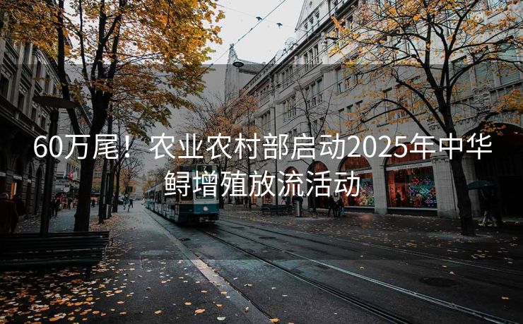 60万尾！农业农村部启动2025年中华鲟增殖放流活动